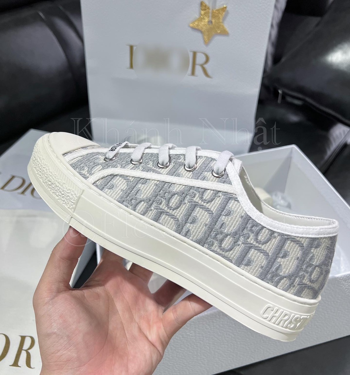 Walk’n’Dior Sneaker Gray Dior Oblique Embroidered Cotton – Flex Project